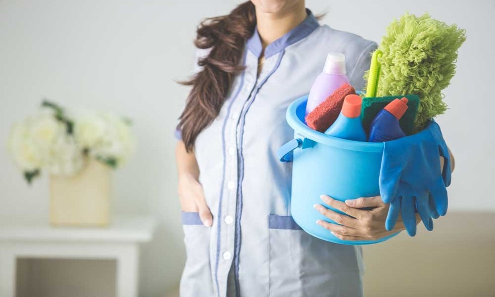 Affordable Household Protection Plans Reducing Risks during Maid Employment Periods